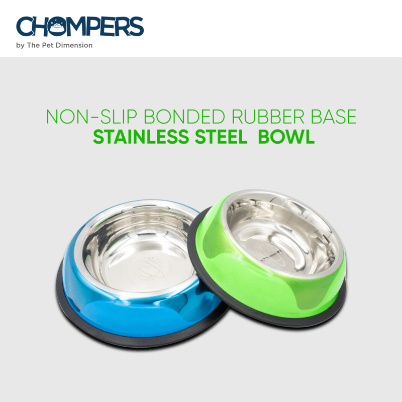 Stainless Steel Pet Food and Water Bowl