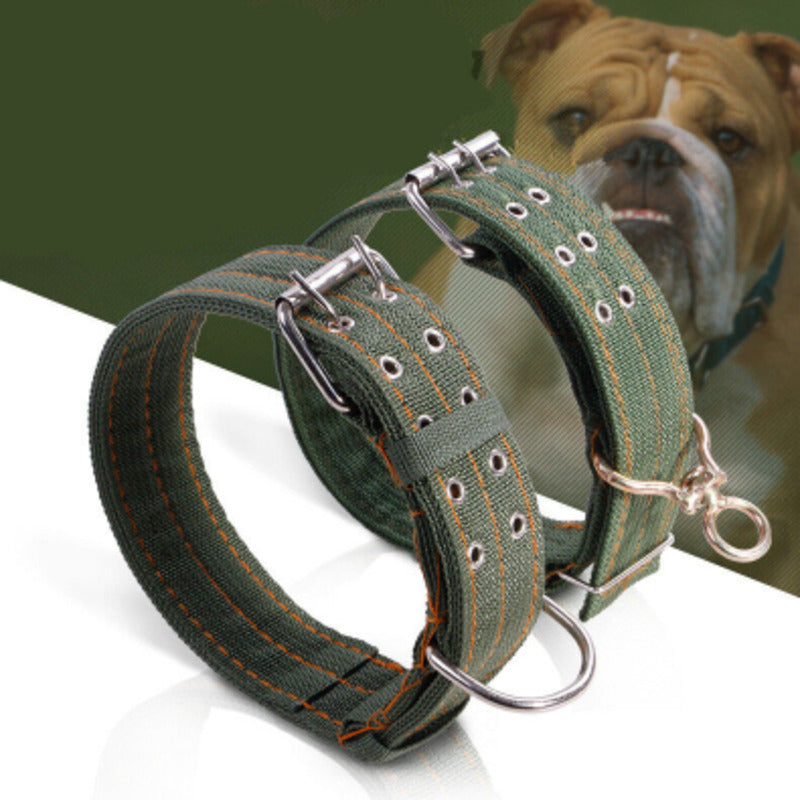 Kakadu Green Collar