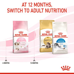 FELINE HEALTH NUTRITION KITTEN 4 KG