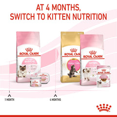 FELINE HEALTH NUTRITION MOTHER AND BABYCAT 2 KG