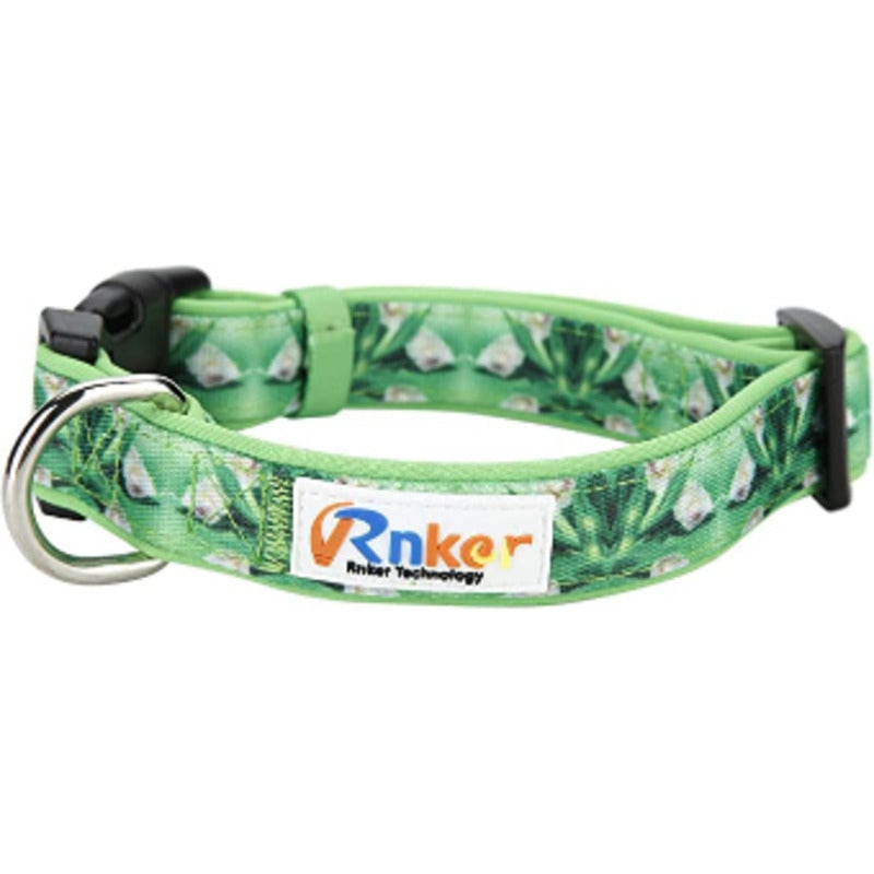Rnker Dog Collar