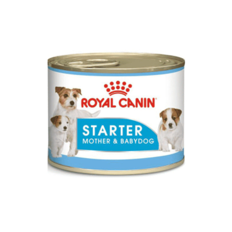 Royal Canin Starter Mousse Puppy Wet Food